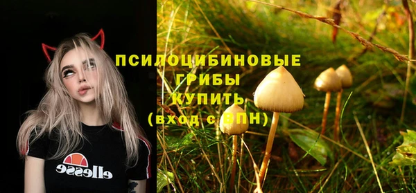 прущие крисы Богданович